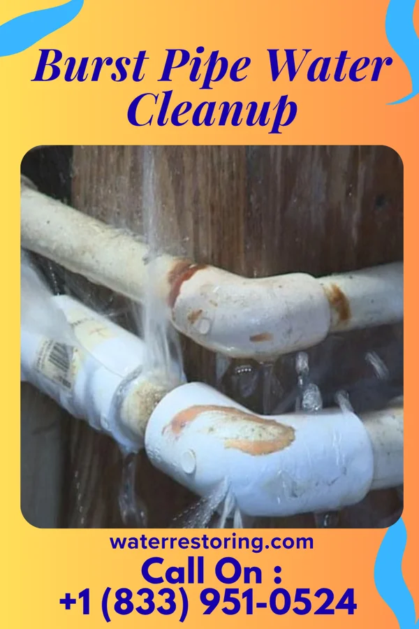 Burst Pipe Water Cleanup in Folsom, LA