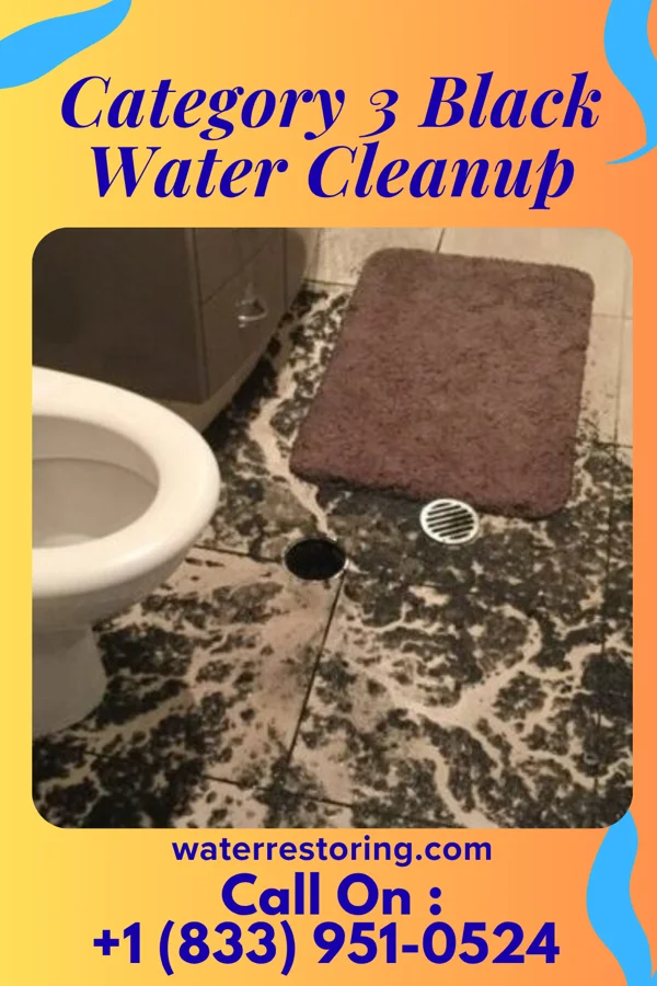 Category 3 Black Water Cleanup in Folsom, LA