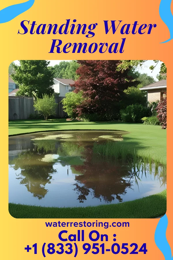 Standing Water Removal in Folsom, LA